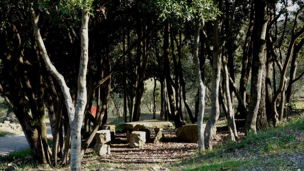 Camping Le Soline Casciano Di Murlo Exterior foto