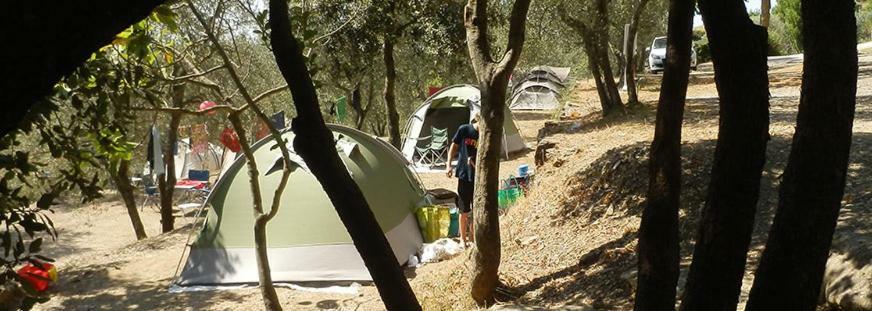 Camping Le Soline Casciano Di Murlo Exterior foto